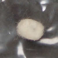 White Powder molecular scheme