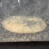 Diclazepam molecular scheme