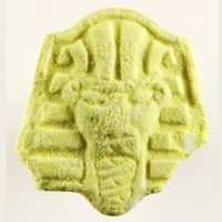 Pharao molecular scheme