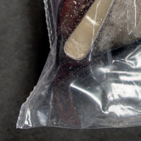 Cocaine molecular scheme