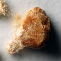 Dope / Fentanyl molecular scheme