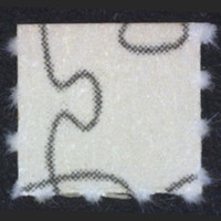 Puzzle Piece Blotter molecular scheme