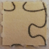 Puzzle Piece Blotter molecular scheme