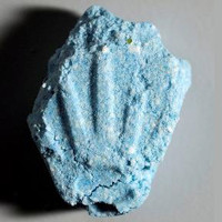 Rolex molecular scheme