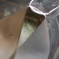 Tan/Black Powder molecular scheme