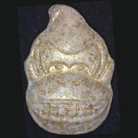 Donkey Kong molecular scheme