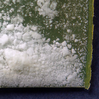 Cocaine molecular scheme