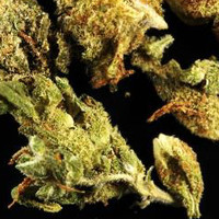 Adulterated Cannabis molecular scheme