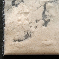 Tan Powder molecular scheme