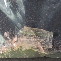 Orange Powder molecular scheme