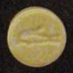 Crocodile molecular scheme