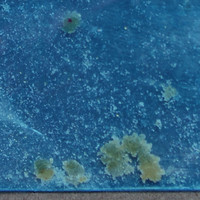 Dope molecular scheme