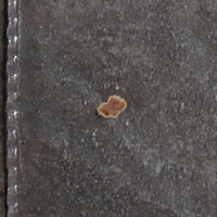 Tan Powder molecular scheme