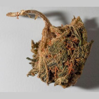 Adulterated Cannabis molecular scheme