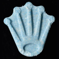 Rolex molecular scheme