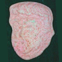 Trump molecular scheme