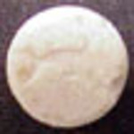 Dolphin molecular scheme