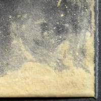 Clam molecular scheme