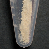 DMT Freebase molecular scheme