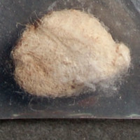 Fentanyl molecular scheme