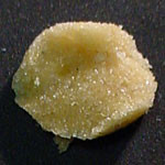 Eclipse molecular scheme