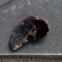 Tar Heroin molecular scheme