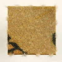 Blotter molecular scheme