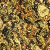 Adulterated Cannabis molecular scheme