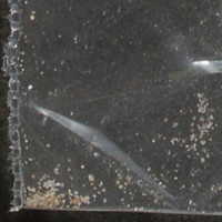 Tan Powder molecular scheme