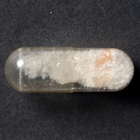 Molly molecular scheme