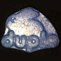 Duplo molecular scheme