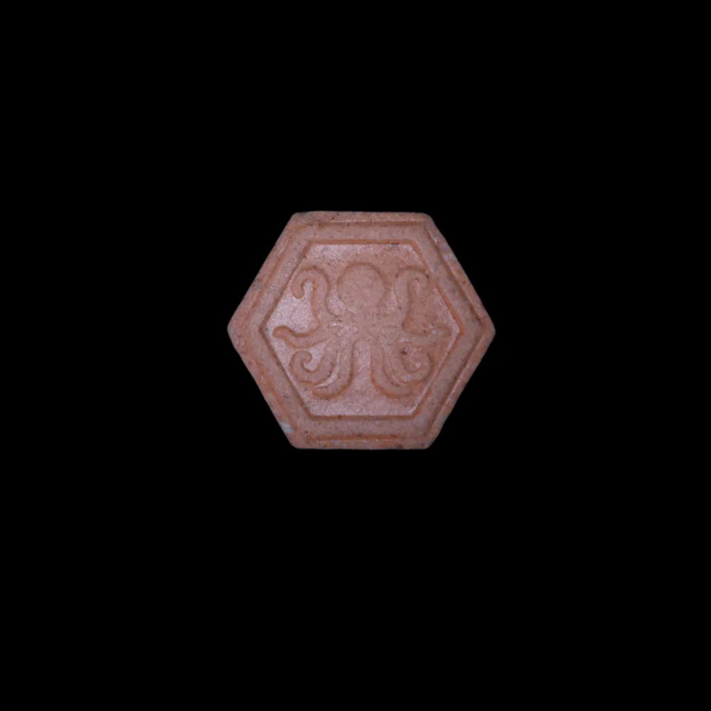 Octopus molecular scheme