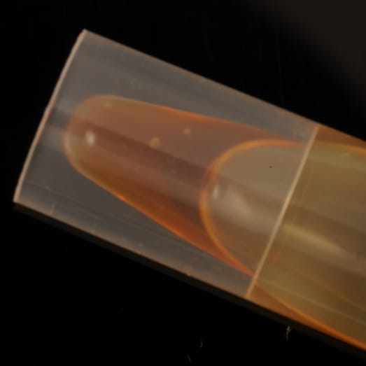 delta-9-THC + delta-8-THC molecular scheme