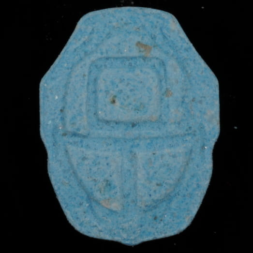 Squid Game molecular scheme