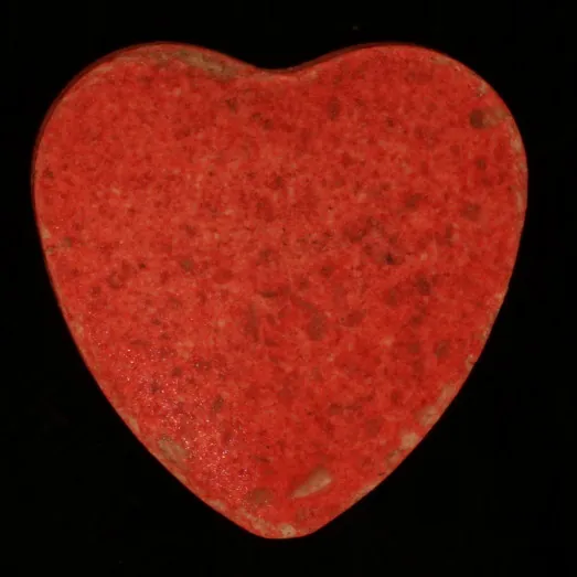 Heart molecular scheme