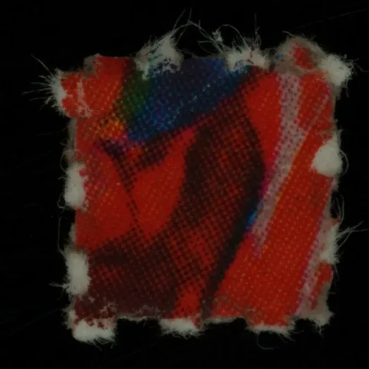 Blotter molecular scheme