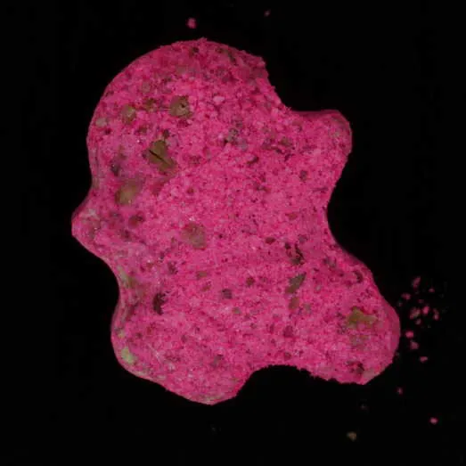 Shy Guy molecular scheme