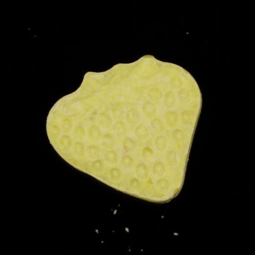 Strawberry molecular scheme