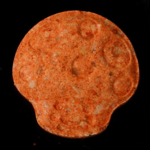 Mushroom molecular scheme