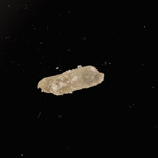 2-MMC molecular scheme