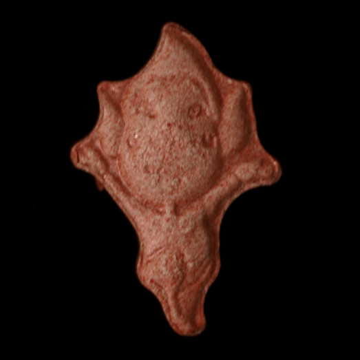 Tingle Zelda / 20mg molecular scheme