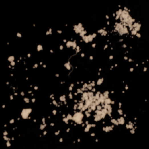 4-CMC molecular scheme