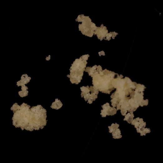 2-MMC molecular scheme