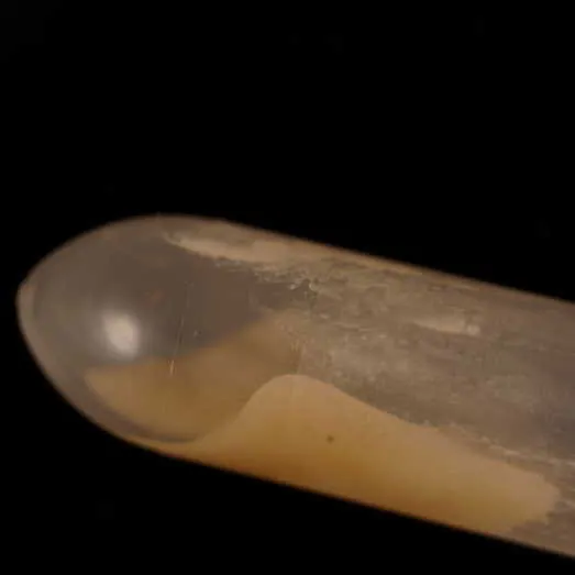 Cocaine paste molecular scheme