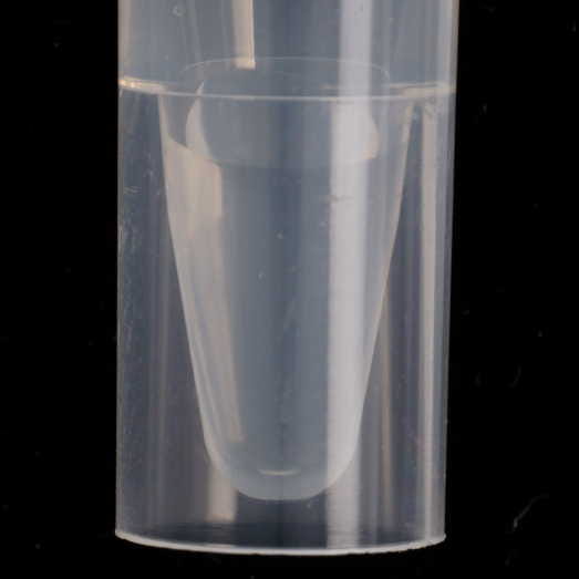 1T-LSD molecular scheme