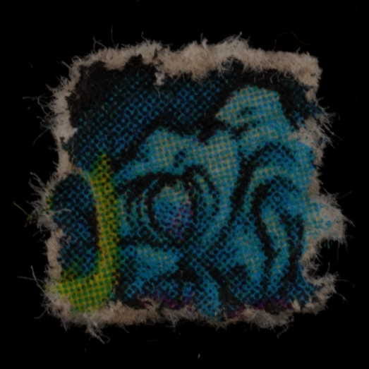 Blotter molecular scheme