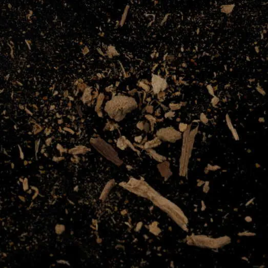 No active ingredient molecular scheme