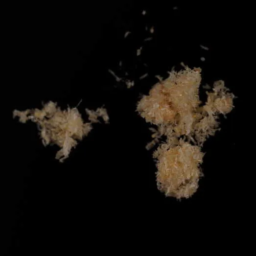 Mephedrone molecular scheme