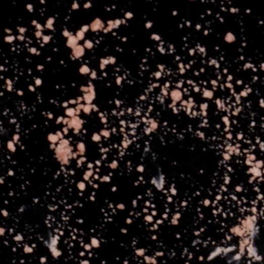 2C-B molecular scheme