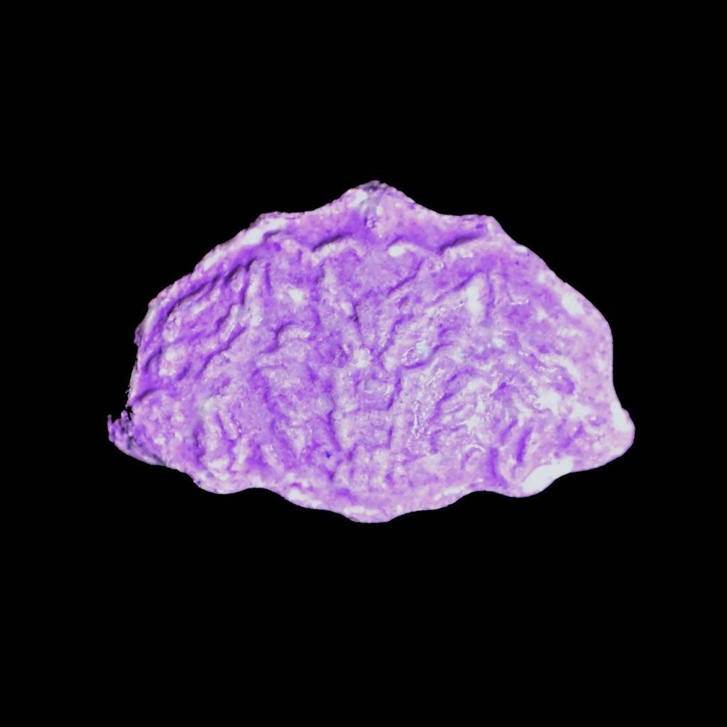 Inner/Sinner Cerberus molecular scheme